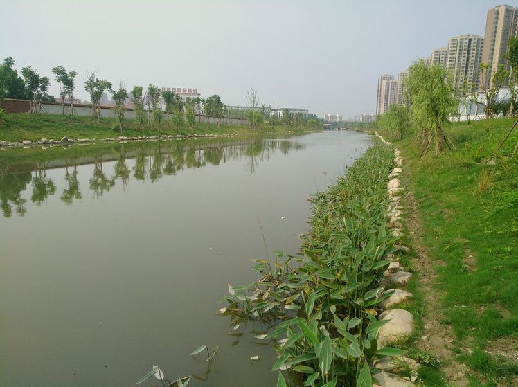 蚌埠市天公河及席家溝部分岸線環(huán)境綜合治理施工Ⅳ標(biāo)