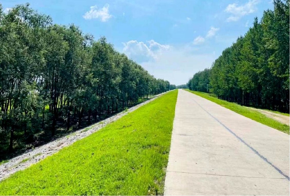 懷洪新河水系洼地治理固鎮縣澥河堤防(樁號8+04016+645）工程