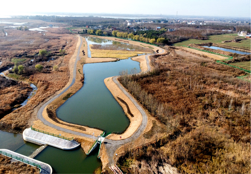 肥東縣集中式飲用水水源地保護及流域水生態修復項目（一期）施工